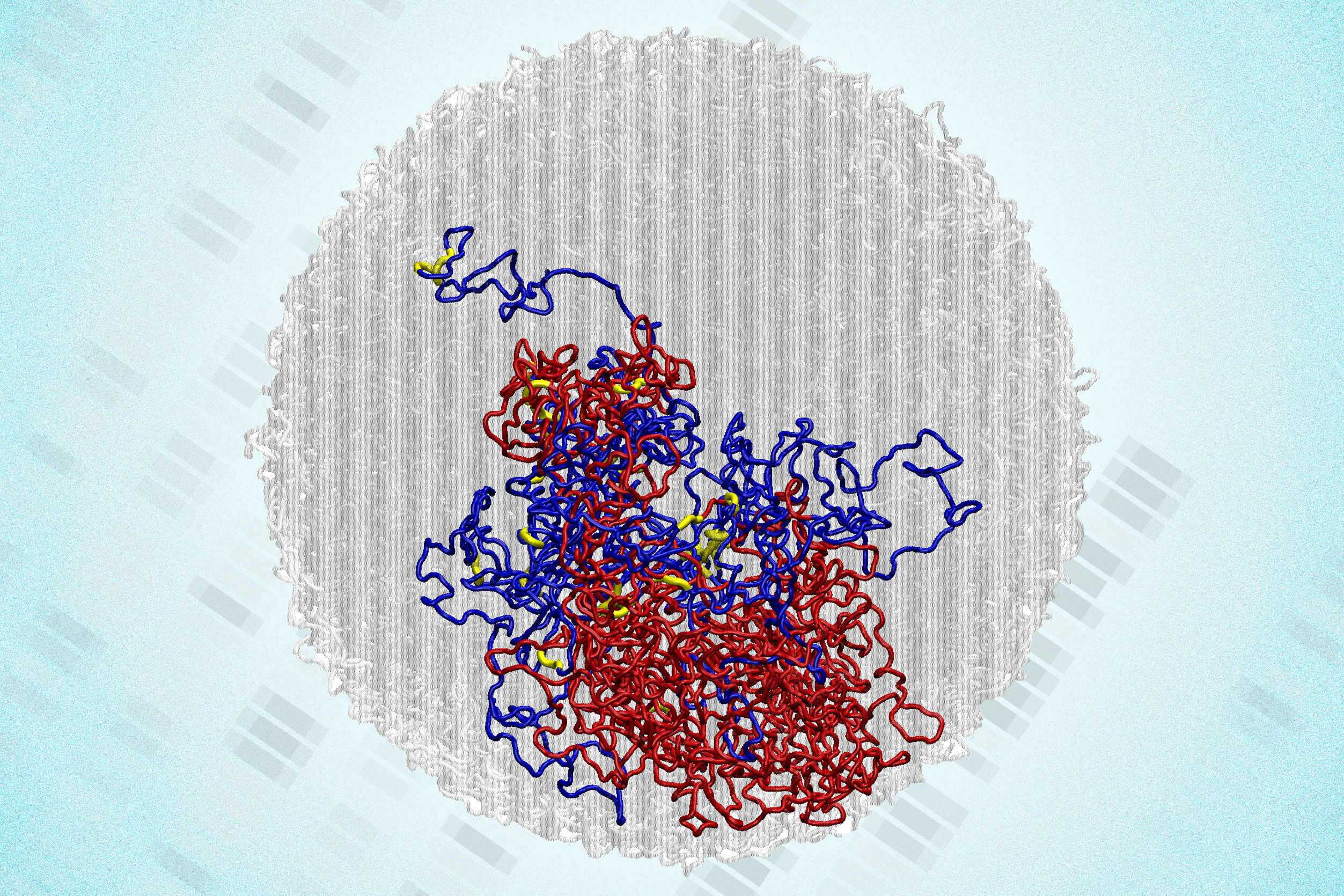 MIT experiments have revealed the existence of “microcompartments,” shown in yellow, within the 3D structure of the genome…