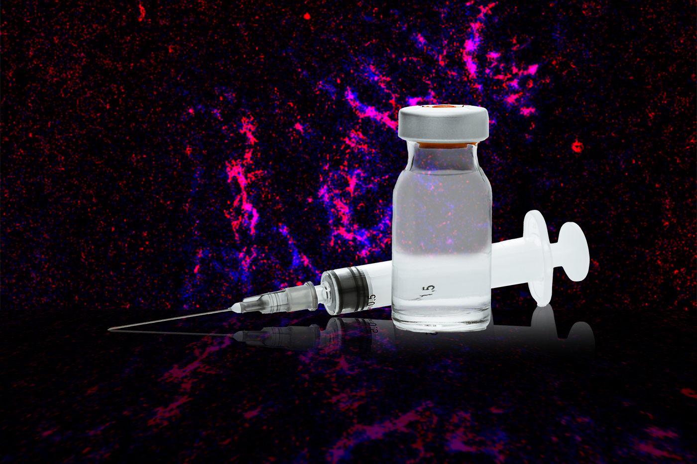 Behind the syringe and vial is an image of a lymph node. Structures called follicles are labeled in blue. Within these…