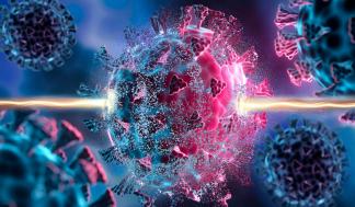 Researchers at MIT and other institutions have discovered broad-spectrum antiviral compounds through the use of a novel…