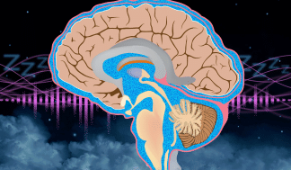 In a new study, MIT researchers have shown that “pink noise,” delivered at the right time during the sleep cycle, can…