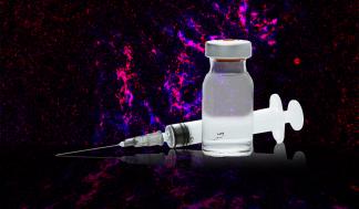 Behind the syringe and vial is an image of a lymph node. Structures called follicles are labeled in blue. Within these…