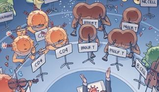 cellorchestra.jpg