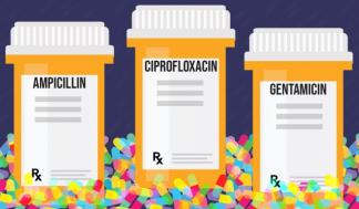 mit-antibiotic-action_0.jpg