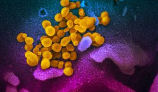 mit-covid-research-roundup-01_0.jpg