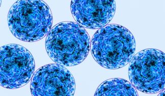 mit-crystal-coating_0.jpg