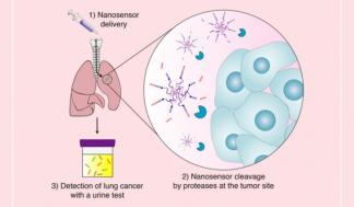 mit-early-detection-01_0.jpg