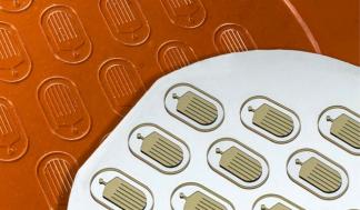mit-encapsulated-cells_0.jpg
