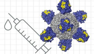 mit-flu-vaccine-01-press_0-720x480.jpg