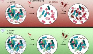 mit-gut-dysbiosis-01-press_0-720x480.jpg