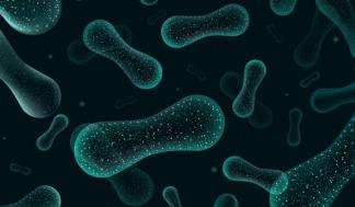 mit-microbiome-01-press_0-720x480.jpg