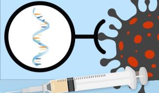 mit-mrna-vaccines-explainer-01-press_0-720x480.jpg