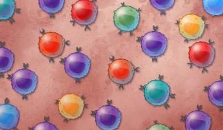 mit-t-cell-function_0.jpg