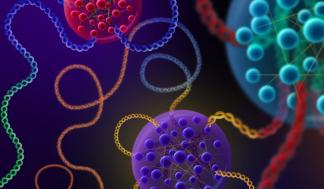 mit-transcription-droplets_0.jpg