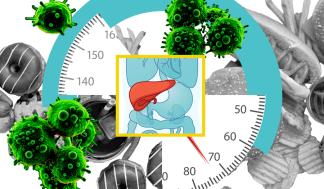 Diet cancer Alex research