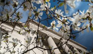 spring_2018_1.jpg