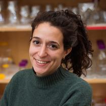 Photo: Tami Lieberman