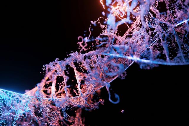 BioAutoMATED is an automated machine-learning system that can select and build an appropriate model for a given dataset and…