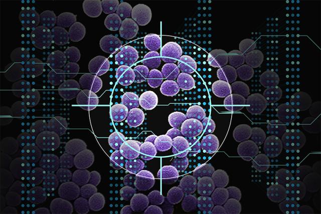 Using a type of artificial intelligence known as deep learning, MIT researchers have discovered a class of compounds that…