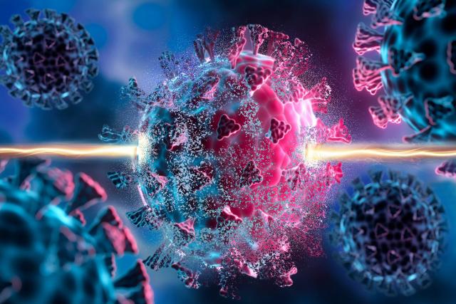 Researchers at MIT and other institutions have discovered broad-spectrum antiviral compounds through the use of a novel…