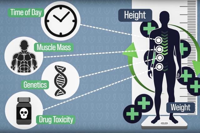 To make chemotherapy dosing more accurate, MIT engineers have come up with a way to continuously measure how much drug is in…