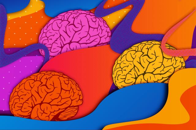 MIT researchers analyzed the EEG patterns of patients under general anesthesia and found brain wave signatures that could…