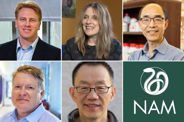 Five MIT faculty members are among the 12 MIT affiliates and 100 total new members of the National Academy of Medicine…