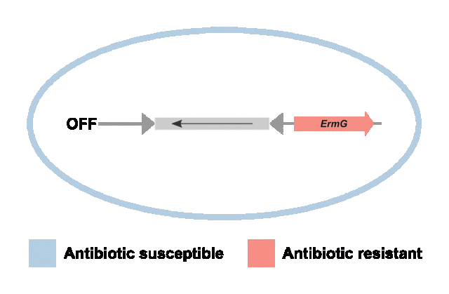 jiang_hall_arg-fig-broad.gif