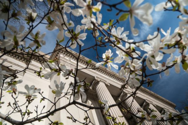Twenty-six members of the MIT engineering faculty and researchers received awards in recognition of their scholarship,…
