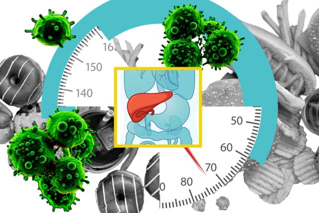Diet cancer Alex research