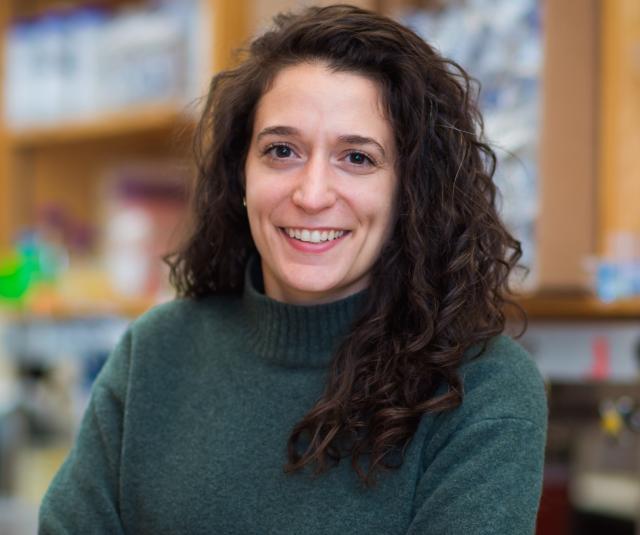 Tami Lieberman cropped