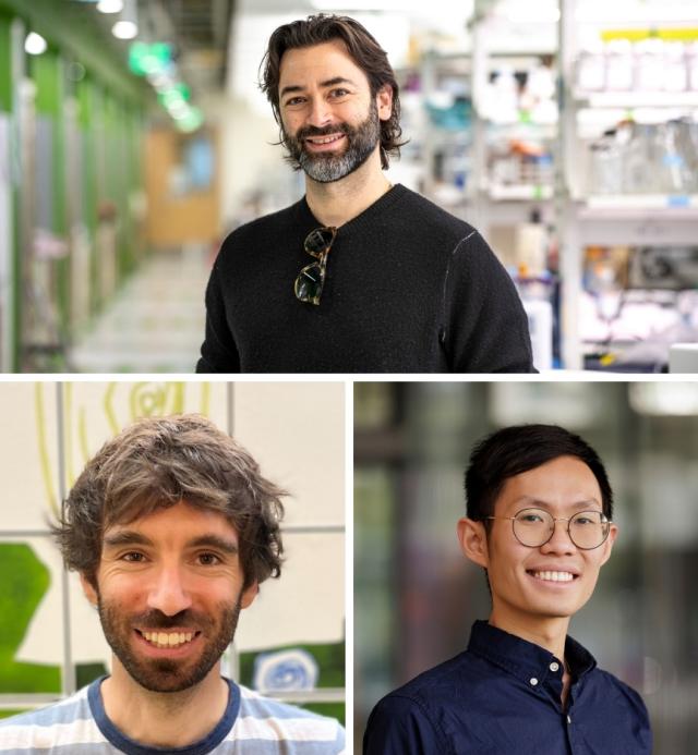 Shalek Lab