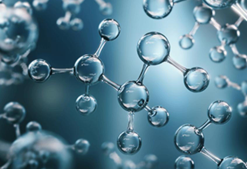 Cellular And Molecular Biology And Engineering | Institute for Medical ...